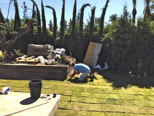 COLOCACION CESPED EN JARDIN MARBELLA